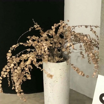 兽设写实风格绘画福瑞群